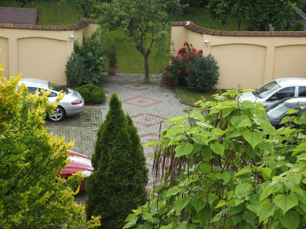 Korona Panzio Bed & Breakfast Debrecen Exterior photo